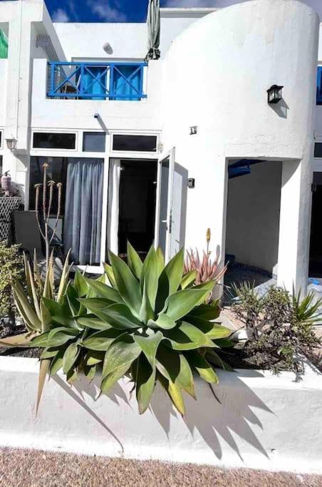 Apartamento 17 Puerto Del Carmen Blueshark Exterior foto